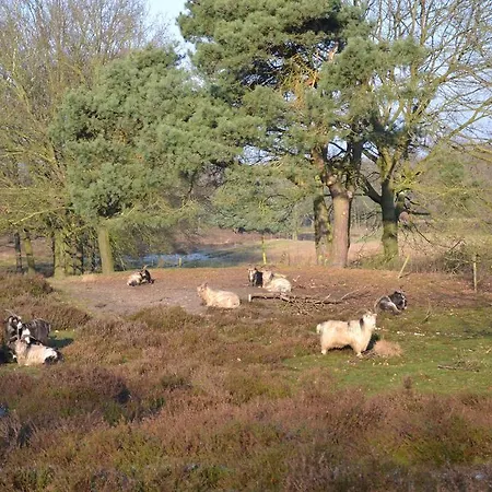 De Papenberg فندق Afferden (Limburg)