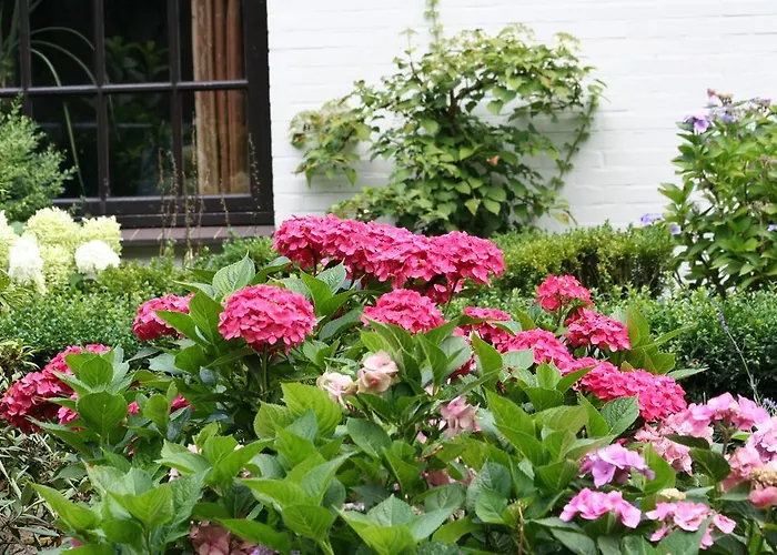 ホテル De Papenberg アッフェルデン