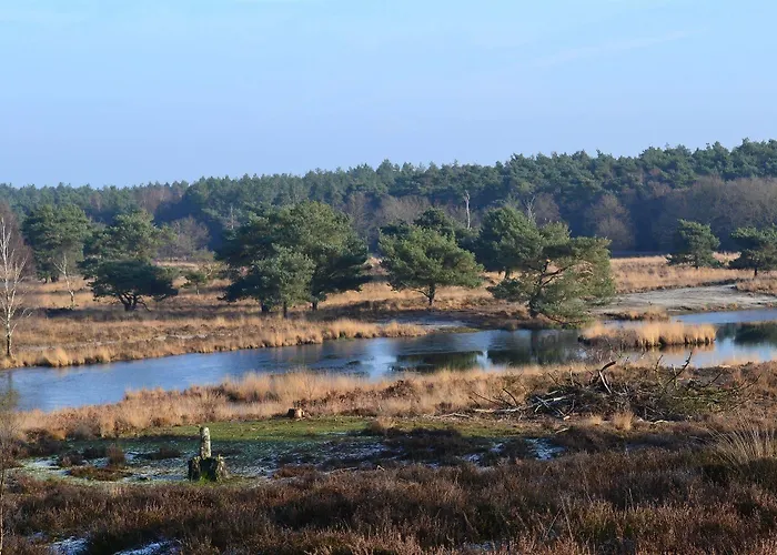 De Papenberg Отель