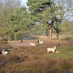 De Papenberg מלון אפרדן