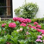 מלון De Papenberg אפרדן